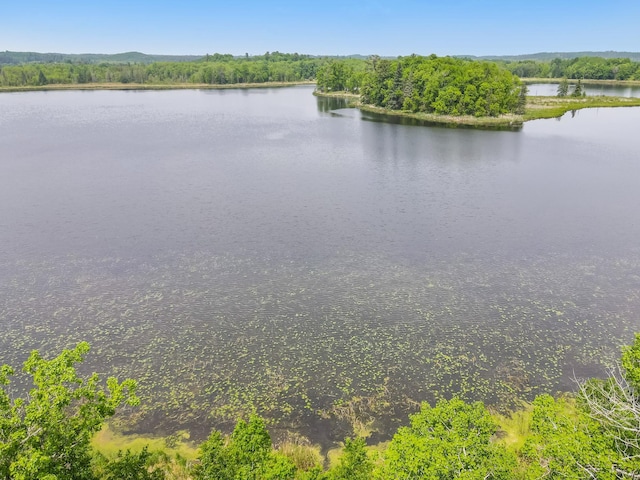 1283 Island Lake Dr NW, Powers Twp, MN 56435 - water view featuring a forest