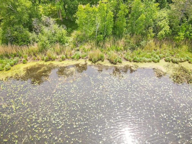 1283 Island Lake Dr NW, Powers Twp, MN 56435 - water view