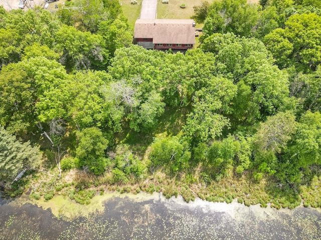 1283 Island Lake Dr NW, Powers Twp, MN 56435 - aerial view of property and surrounding area
