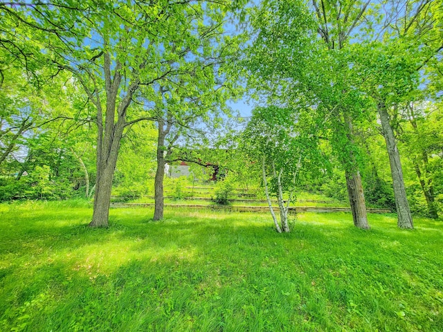 1283 Island Lake Dr NW, Powers Twp, MN 56435 - view of yard