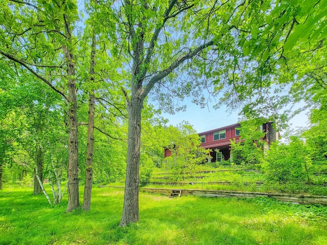 1283 Island Lake Dr NW, Powers Twp, MN 56435 - view of yard