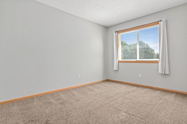 7289 32nd Ave N, Crystal, MN 55427 - carpeted spare room featuring baseboards and a textured ceiling