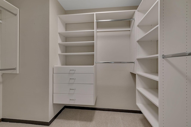 1504 20th Ave S, Sartell, MN 56377 - spacious closet with carpet flooring