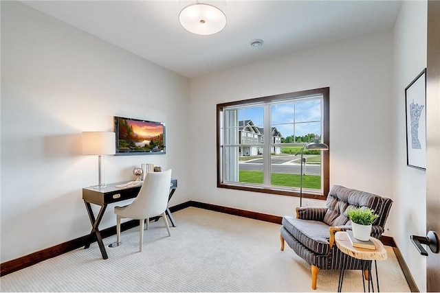 117 Maple Ct, Cannon Falls, MN 55009 - home office featuring carpet flooring