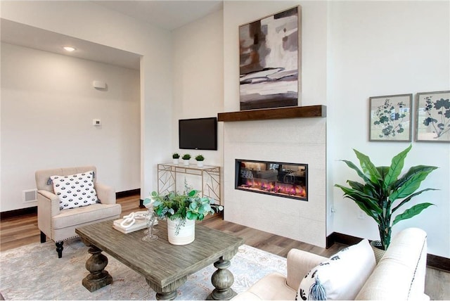 117 Maple Ct, Cannon Falls, MN 55009 - living area featuring wood finished floors and a glass covered fireplace