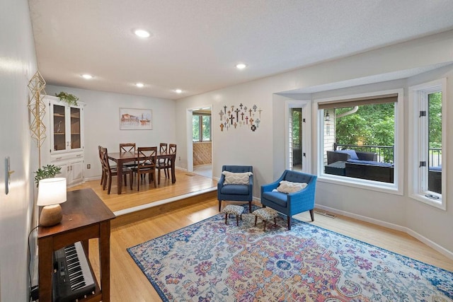 1008 3rd St NE, New Prague, MN 56071 - living area with light wood-style floors and recessed lighting