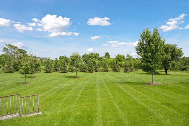 21804 Majestic Dr, Saint Augusta, MN 55320 - photo 3