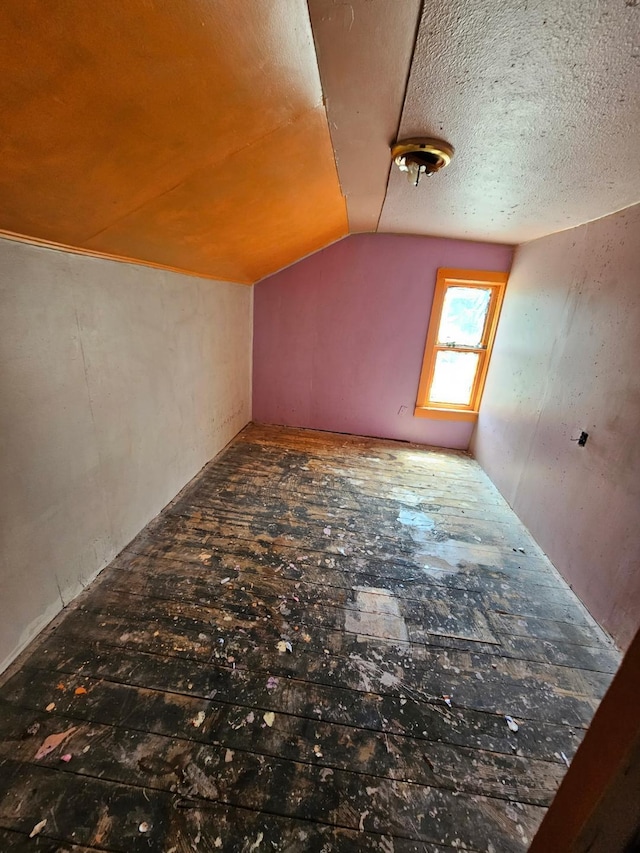 730 Front St, Albert Lea, MN 56007 - additional living space featuring lofted ceiling and a textured ceiling