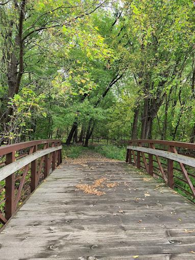 2706 Lakeview Ct, Little Canada, MN 55117 - wooden terrace with a forest view