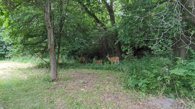 2706 Lakeview Ct, Little Canada, MN 55117 - view of local wilderness