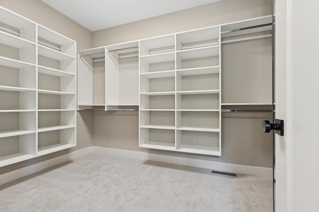 2706 Lakeview Ct, Little Canada, MN 55117 - spacious closet with carpet