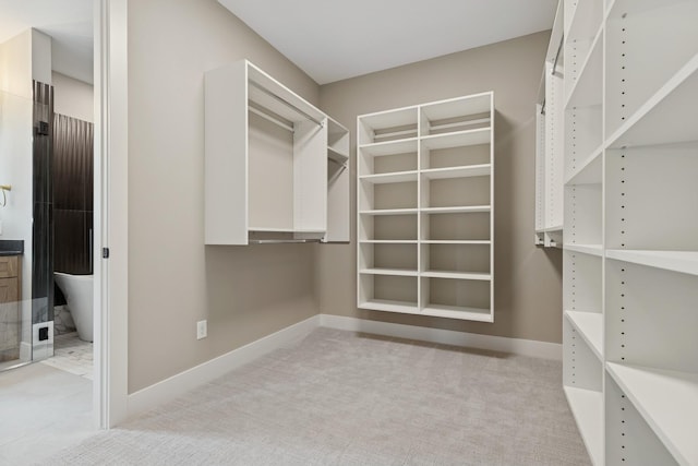2706 Lakeview Ct, Little Canada, MN 55117 - walk in closet with light carpet