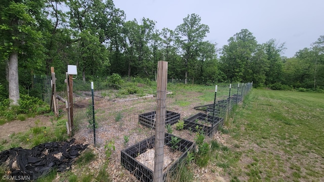 1912 Nelson Lake Rd, Pillager, MN 56473 - view of yard featuring a vegetable garden and a view of trees