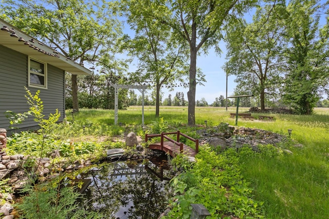 39743 County Road 1, Brockway Twp, MN 56367 - view of yard