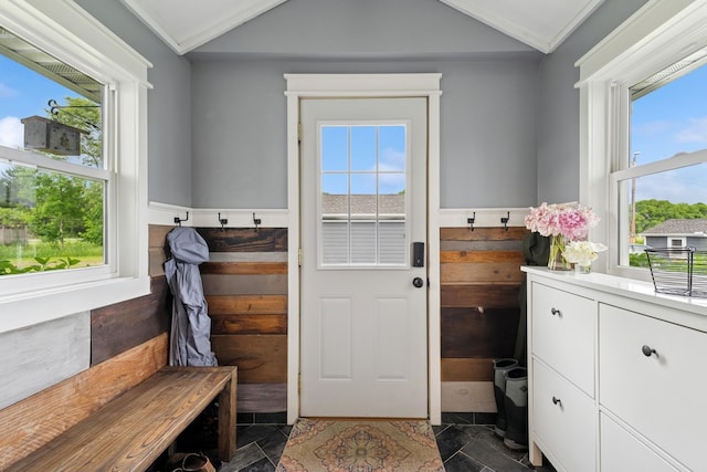 3178 253rd Ave NW, Isanti, MN 55040 - mudroom with lofted ceiling, healthy amount of natural light, and dark stone finish floors