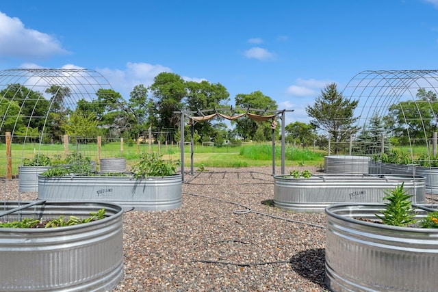 3178 253rd Ave NW, Isanti, MN 55040 - view of yard with a garden
