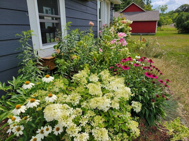 3178 253rd Ave NW, Isanti, MN 55040 - view of yard