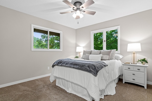 6980 Crest Dr, Maple Grove, MN 55311 - carpeted bedroom with multiple windows and a ceiling fan