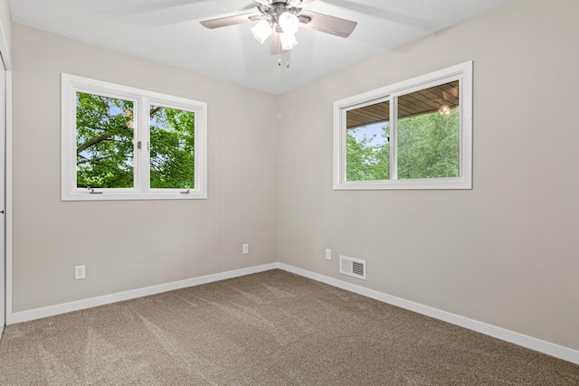 6980 Crest Dr, Maple Grove, MN 55311 - spare room featuring plenty of natural light, carpet flooring, and a ceiling fan