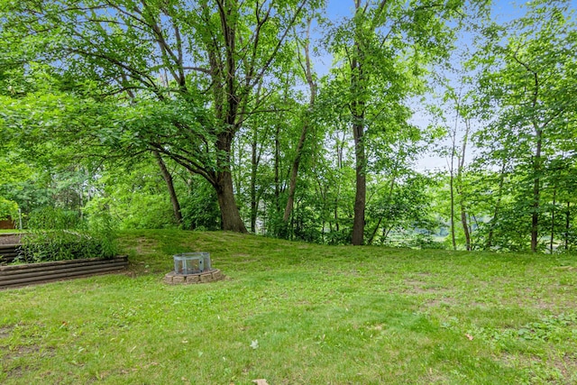 6980 Crest Dr, Maple Grove, MN 55311 - view of green lawn