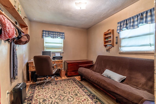 707 Marshall Ave, Henning, MN 56551 - home office with wood finished floors and a textured ceiling