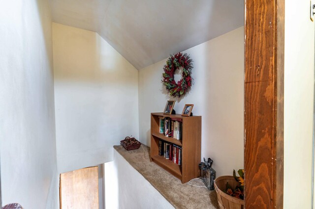 707 Marshall Ave, Henning, MN 56551 - hallway with lofted ceiling and carpet floors