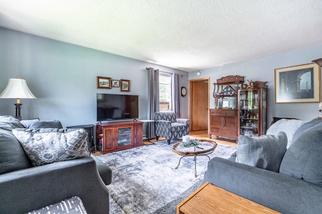 707 Marshall Ave, Henning, MN 56551 - living area with wood finished floors and a textured ceiling