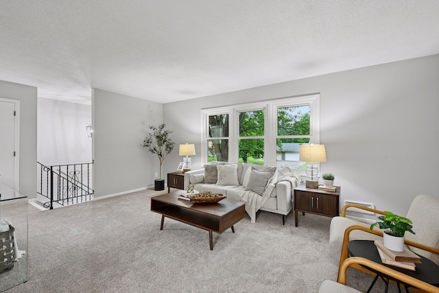 711 9th St NW, Buffalo, MN 55313 - living room with carpet