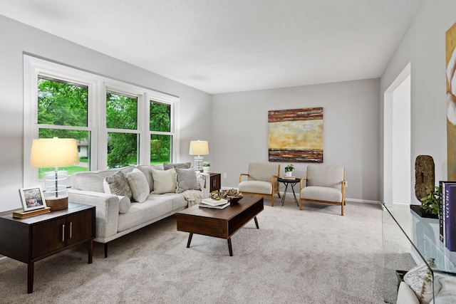 711 9th St NW, Buffalo, MN 55313 - view of carpeted living area
