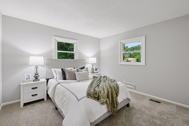 711 9th St NW, Buffalo, MN 55313 - carpeted bedroom with baseboards and a textured ceiling