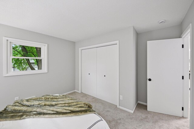711 9th St NW, Buffalo, MN 55313 - bedroom with carpet flooring and a closet