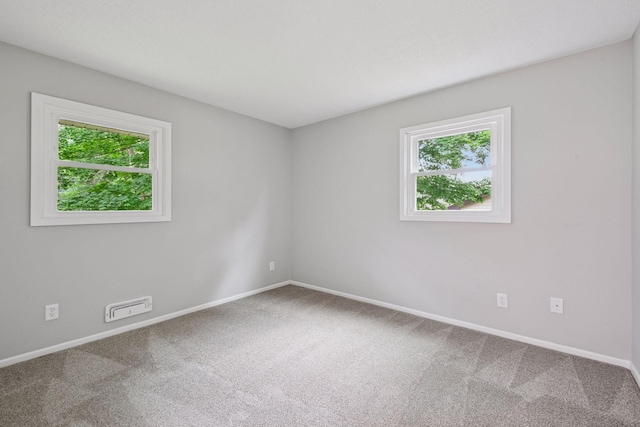 711 9th St NW, Buffalo, MN 55313 - spare room featuring plenty of natural light and carpet flooring