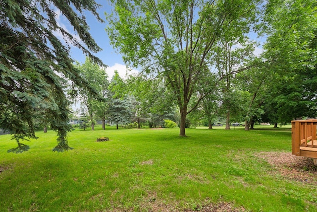 711 9th St NW, Buffalo, MN 55313 - view of green lawn