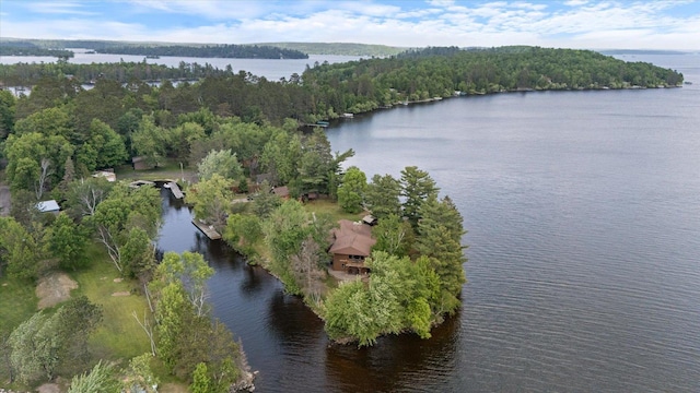2236 Birch Point Rd Unit A, Tower, MN 55790 - view of property location with a large body of water and a heavily wooded area