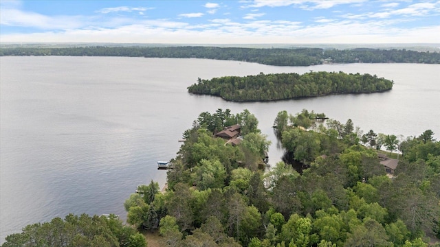 2236 Birch Point Rd Unit A, Tower, MN 55790 - bird's eye view of a nearby body of water and a heavily wooded area