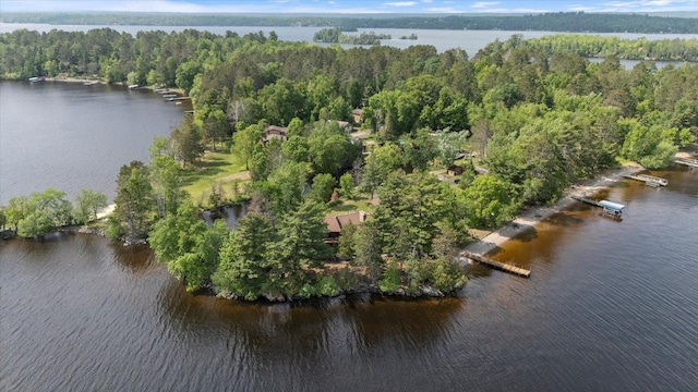 2236 Birch Point Rd Unit A, Tower, MN 55790 - aerial view of property's location featuring a nearby body of water and a heavily wooded area