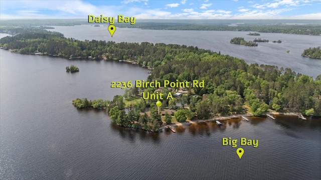2236 Birch Point Rd Unit A, Tower, MN 55790 - drone / aerial view of a nearby body of water and a forest