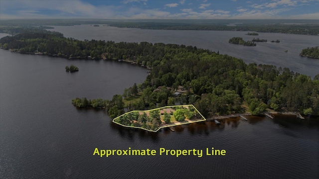 2236 Birch Point Rd Unit A, Tower, MN 55790 - aerial view of property and surrounding area with a large body of water and property boundaries highlighted