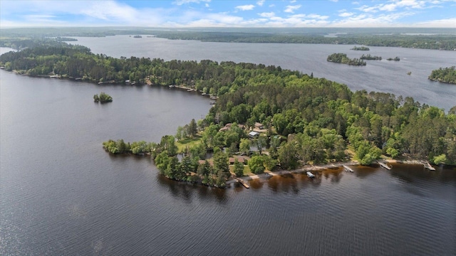 2236 Birch Point Rd Unit A, Tower, MN 55790 - drone / aerial view of a large body of water and a heavily wooded area