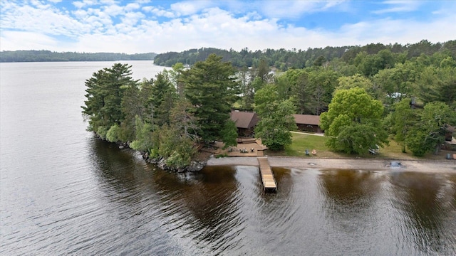 2236 Birch Point Rd Unit A, Tower, MN 55790 - water view with a forest