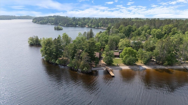 2236 Birch Point Rd Unit A, Tower, MN 55790 - aerial view of a nearby body of water