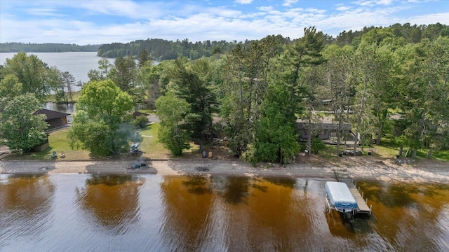 2236 Birch Point Rd Unit A, Tower, MN 55790 - water view featuring a heavily wooded area and a floating dock