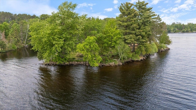 2236 Birch Point Rd Unit A, Tower, MN 55790 - water view featuring a heavily wooded area