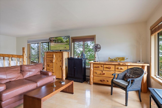 2236 Birch Point Rd Unit A, Tower, MN 55790 - view of living room