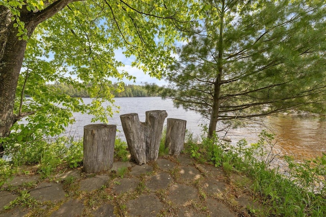 2236 Birch Point Rd Unit A, Tower, MN 55790 - water view