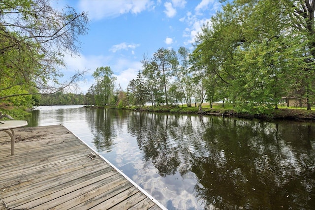 2236 Birch Point Rd Unit A, Tower, MN 55790 - photo 43