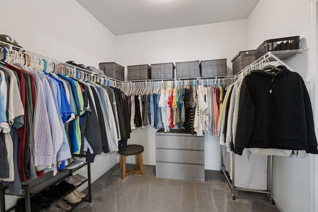 15382 71st St NE, Otsego, MN 55330 - spacious closet with carpet floors