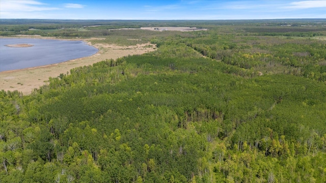 26299 County Road 11, Cohasset, MN 55721