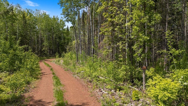 26299 County Road 11, Cohasset, MN 55721