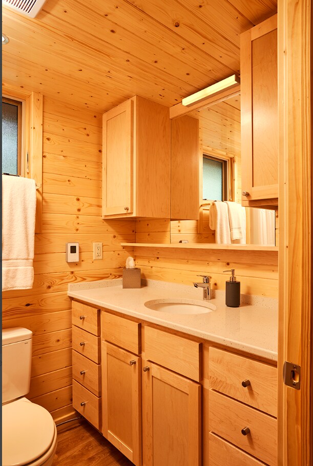 W160655 Hogback Rd Unit 5, Rusk Twp, WI 54728 - bathroom featuring wooden ceiling, vanity, wood walls, and wood finished floors